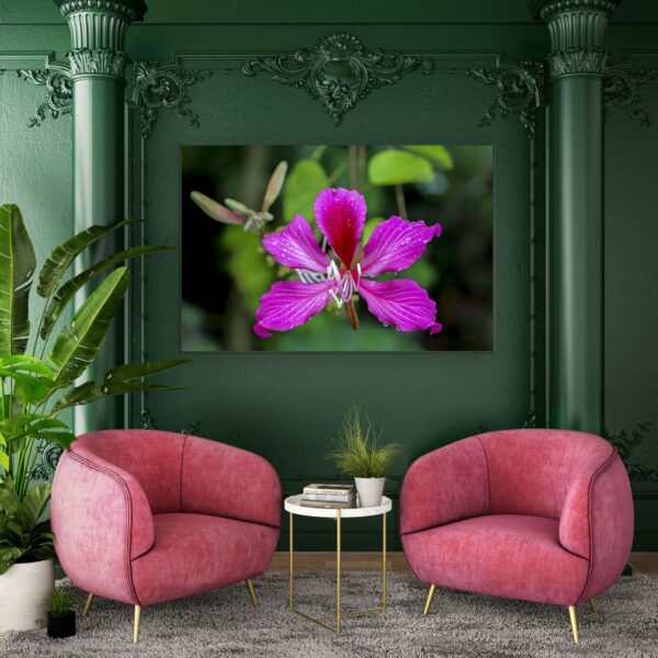 A picture of a flower in the middle of two pink chairs.