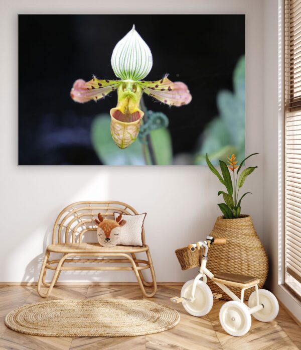 A small chair and some plants in front of a window