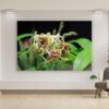 A large picture of some flowers on the wall