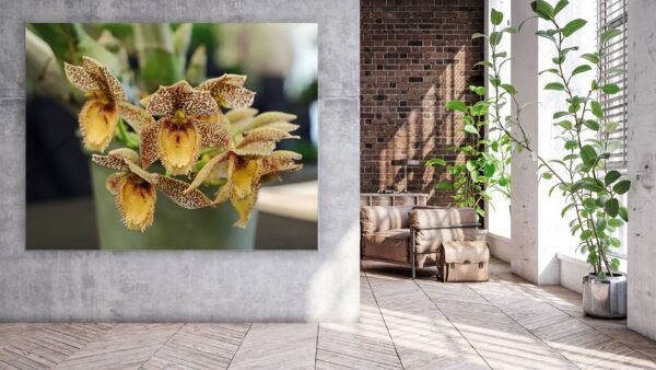 A large picture of an orchid in the corner of a room.